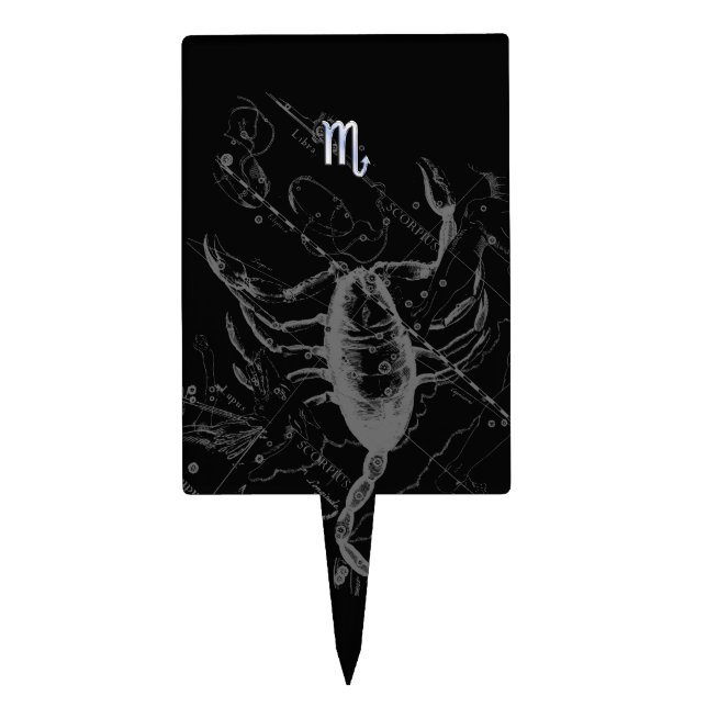 Chrome Style Scorpio Zodiac Symbol on Hevelius Cake Topper (Front)