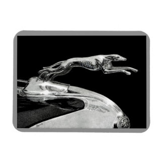 "Chromed Grace" - Greyhound Magnet
