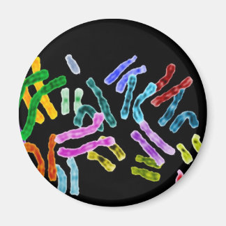 Chromosome Black background Magnet