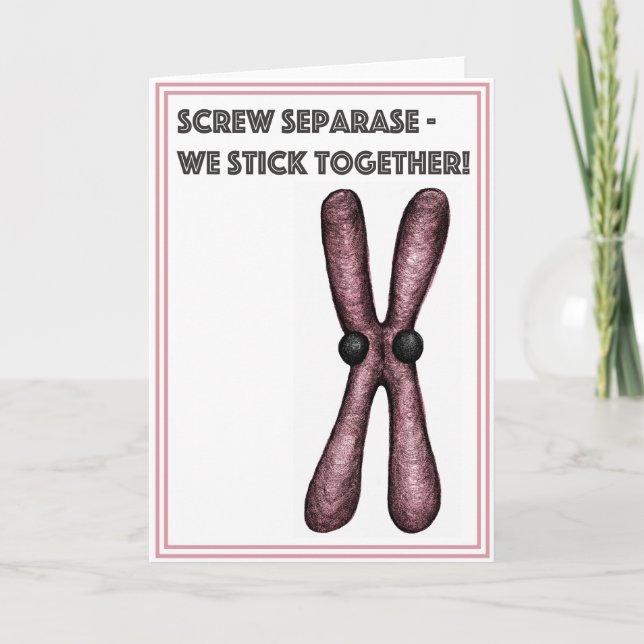 Chromosomes Holiday Card (Front)