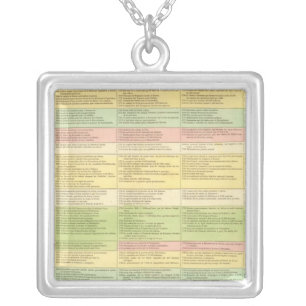 Chronological map of the United States Silver Plated Necklace