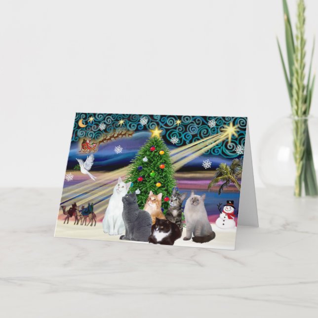 Chrstmas Magic - Six cats (variety) Holiday Card (Front)