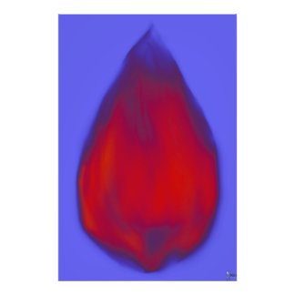 CHRYSALIS PHOTO PRINT