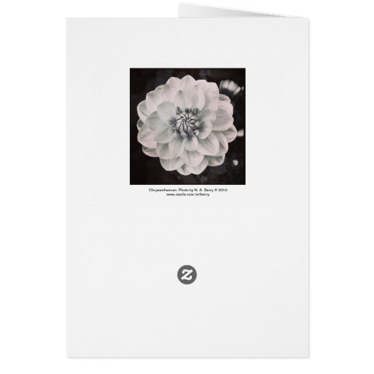 Chrysanthemum (Back)