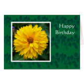 Chrysanthemum (Front Horizontal)