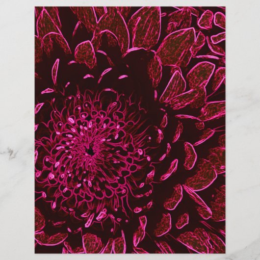 Chrysanthemum (Front)