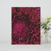 Chrysanthemum (Standing Front)