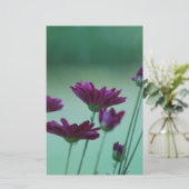 Chrysanthemum and meaning (Standing Front)