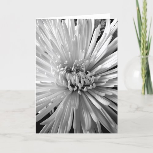 Chrysanthemum Blossom Card