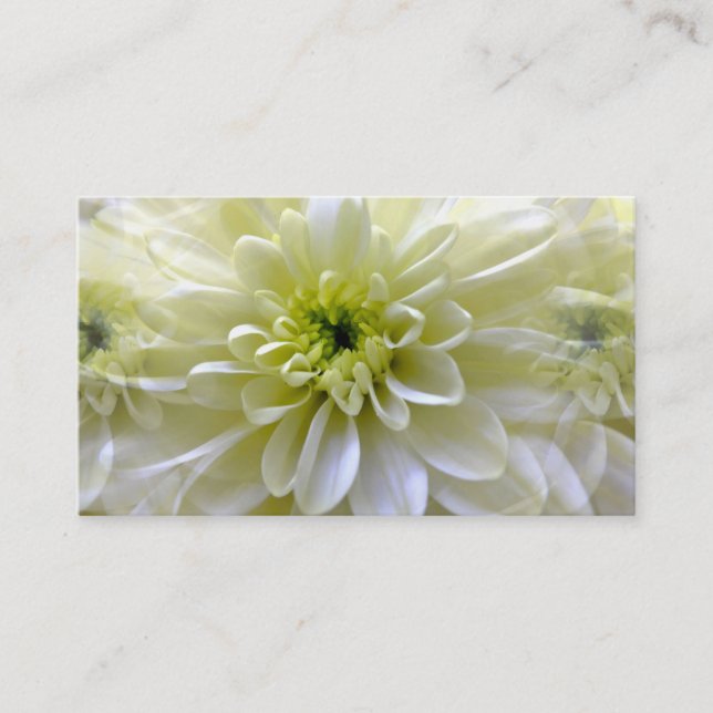 CHRYSANTHEMUM BUSINESS CARD (Front)