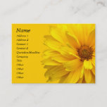 Chrysanthemum Business Card