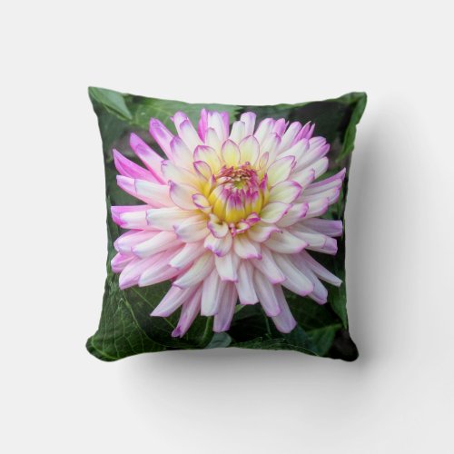 Chrysanthemum Bute Park Cardiff Wales Throw Pillow