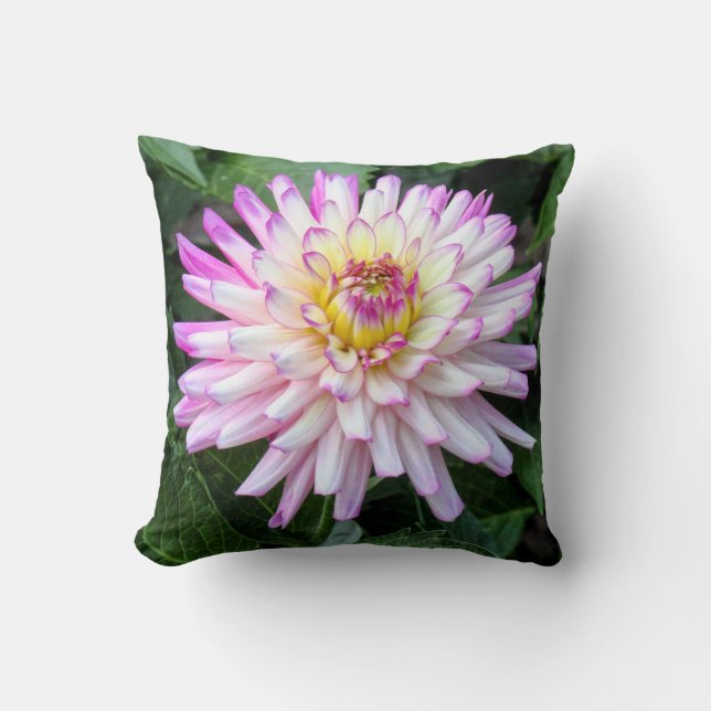 Chrysanthemum, Bute Park, Cardiff, Wales Throw Pillow (Front)