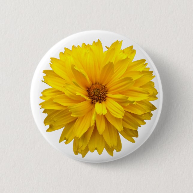 Chrysanthemum Button (Front)