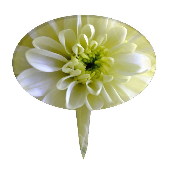 CHRYSANTHEMUM CAKE TOPPER (Front)