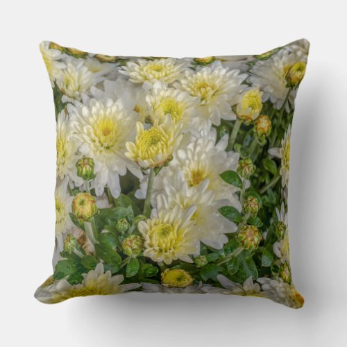 Chrysanthemum Floral Yellow Green White Throw Pillow