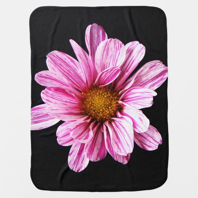 Chrysanthemum Flower bbi Baby Blanket (Front)