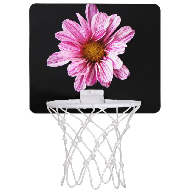 Chrysanthemum Flower bgcnm Mini Basketball Hoop (Front)