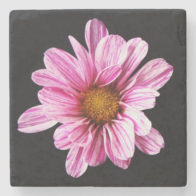 Chrysanthemum Flower coastercnm Stone Coaster (Front)