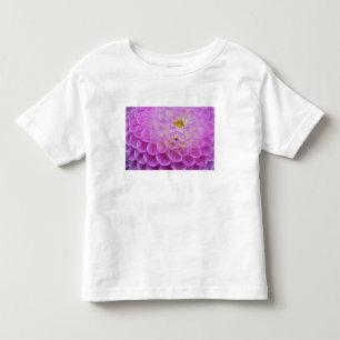 Chrysanthemum flower decorating grave site in toddler t-shirt