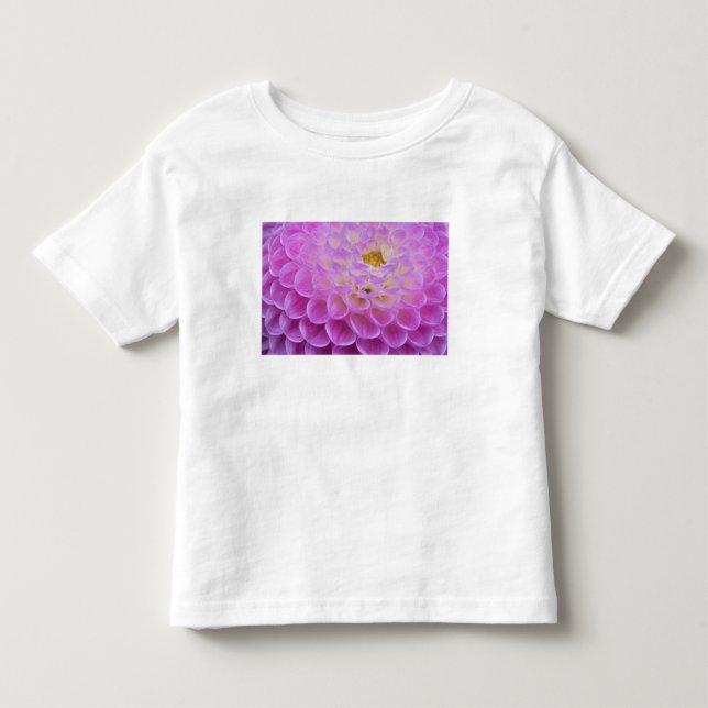Chrysanthemum flower decorating grave site in toddler t-shirt (Front)