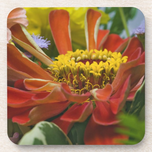 Chrysanthemum flower drink coaster (Front)