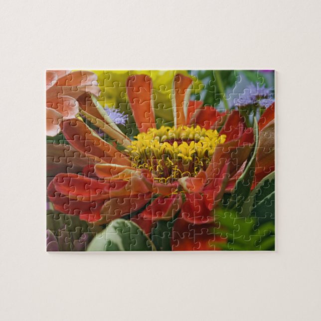 Chrysanthemum flower jigsaw puzzle (Horizontal)