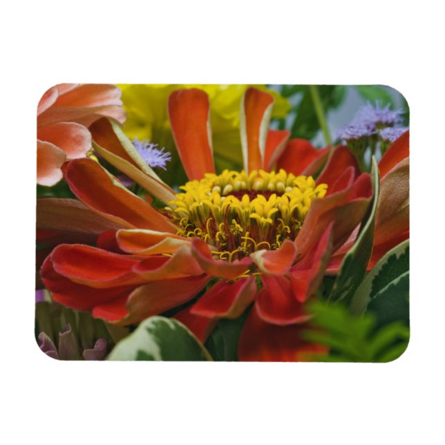 Chrysanthemum flower magnet (Horizontal)