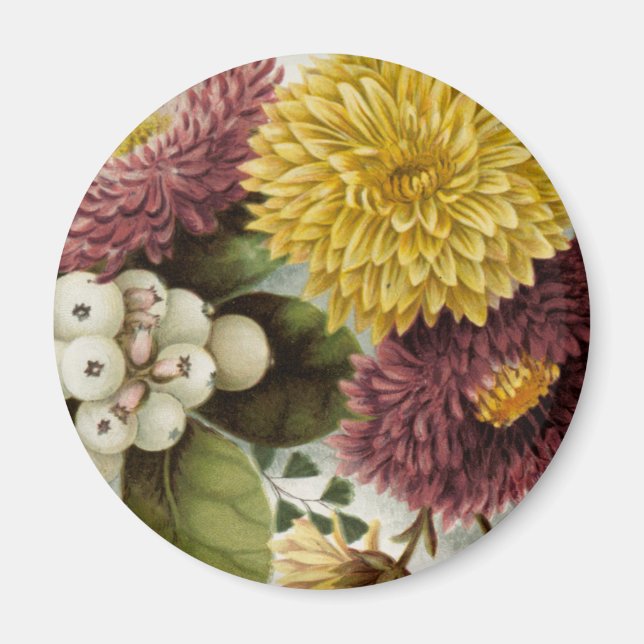 Chrysanthemum Flower Mum Floral Magnet (Front)