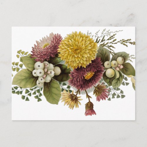 Chrysanthemum Flower Mum Floral Postcard