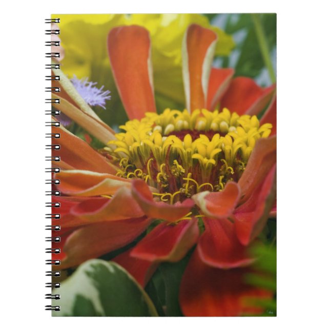 Chrysanthemum flower notebook (Front)