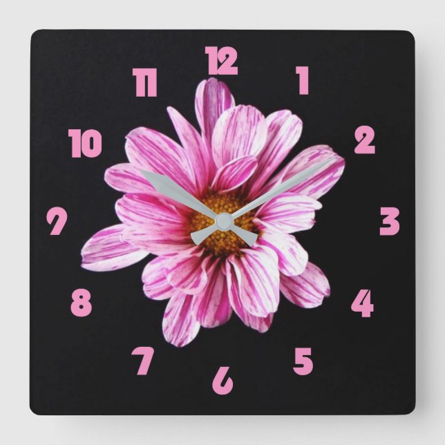 Chrysanthemum Flower Pink Fat Numbers wccnm Square Wall Clock (Front)