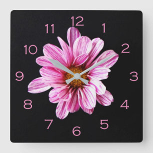 Chrysanthemum Flower Pink Numbers wccn Square Wall Clock
