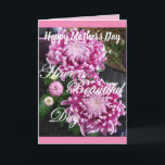 Chrysanthemum Flowers Happy Mother's Day Card<br><div class="desc">Chrysanthemum Flowers Happy Mother's Day Card. Designed from one of my original garden photographs & my original writing,  enjoy!</div>