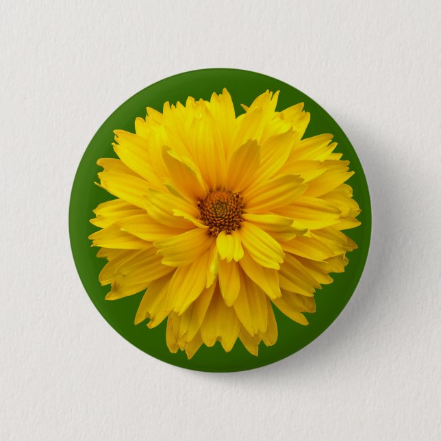 Chrysanthemum - Green Pinback Button (Front)