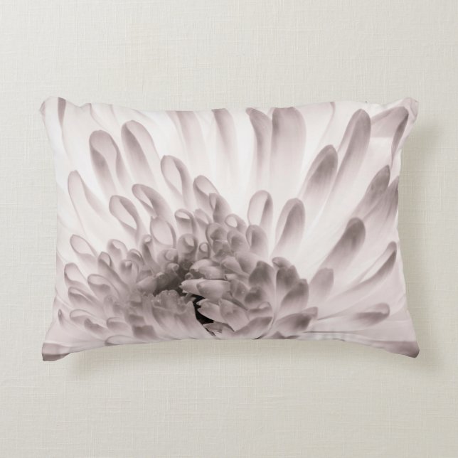 Chrysanthemum in full bloom. Close up macro of flo Accent Pillow (Front)