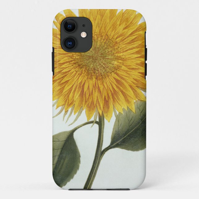Chrysanthemum Indicum from 'Pythanthoza Iconograph Case-Mate iPhone Case (Back)
