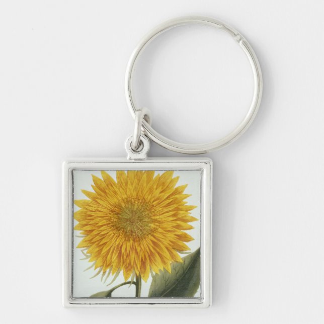Chrysanthemum Indicum from 'Pythanthoza Iconograph Keychain (Front)