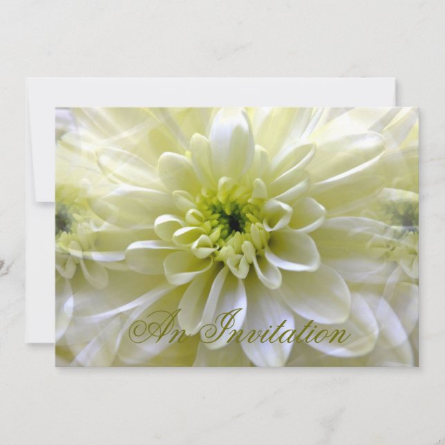 CHRYSANTHEMUM INVITATION (Front)