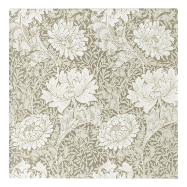 Chrysanthemum Ivory, William Morris Acrylic Print (Front)