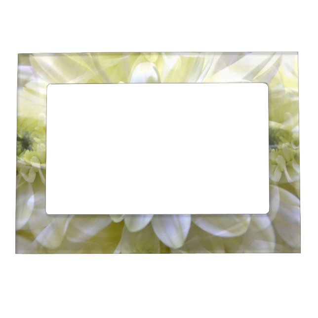 CHRYSANTHEMUM MAGNETIC PICTURE FRAME (Front)