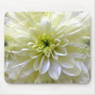 CHRYSANTHEMUM MOUSE PAD