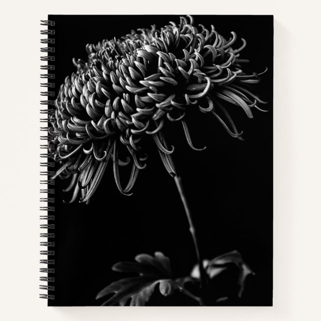 Chrysanthemum Notebook (Front)