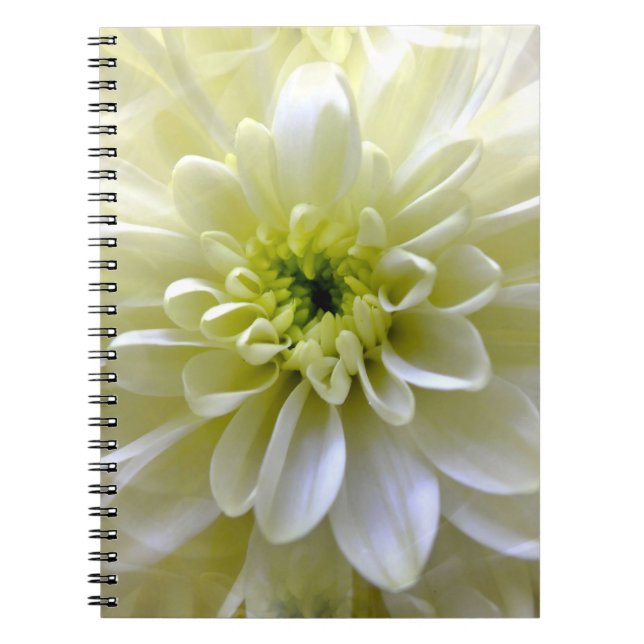 CHRYSANTHEMUM NOTEBOOK (Front)