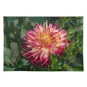 Chrysanthemum Orange Canadian Flower Photography Cloth Placemat