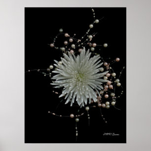 Chrysanthemum & Pearls Poster