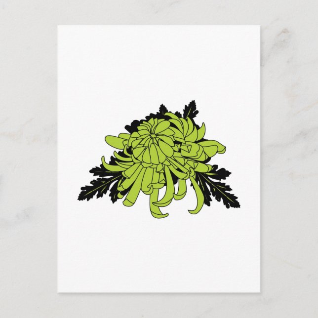 Chrysanthemum Postcard (Front)