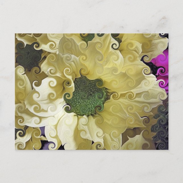 CHRYSANTHEMUM POSTCARD (Front)