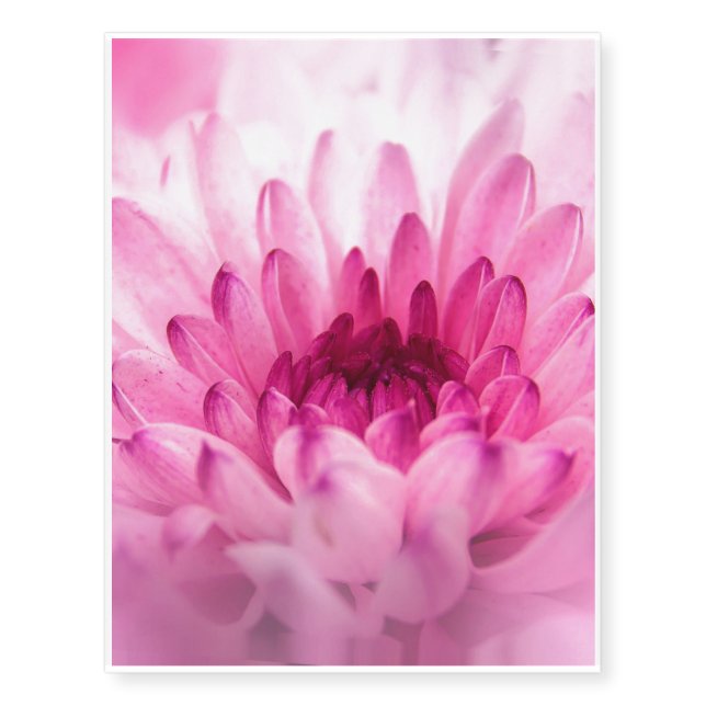 chrysanthemum temporary tattoos (Front)