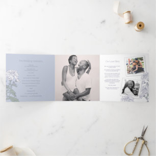 Chrysanthemum white flower drawing Tri-Fold program